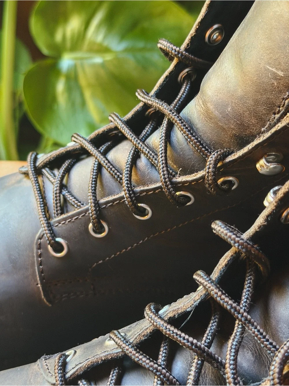 Thursday Boot Company classic brown